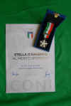 stellaargento2015.JPG (648244 byte)